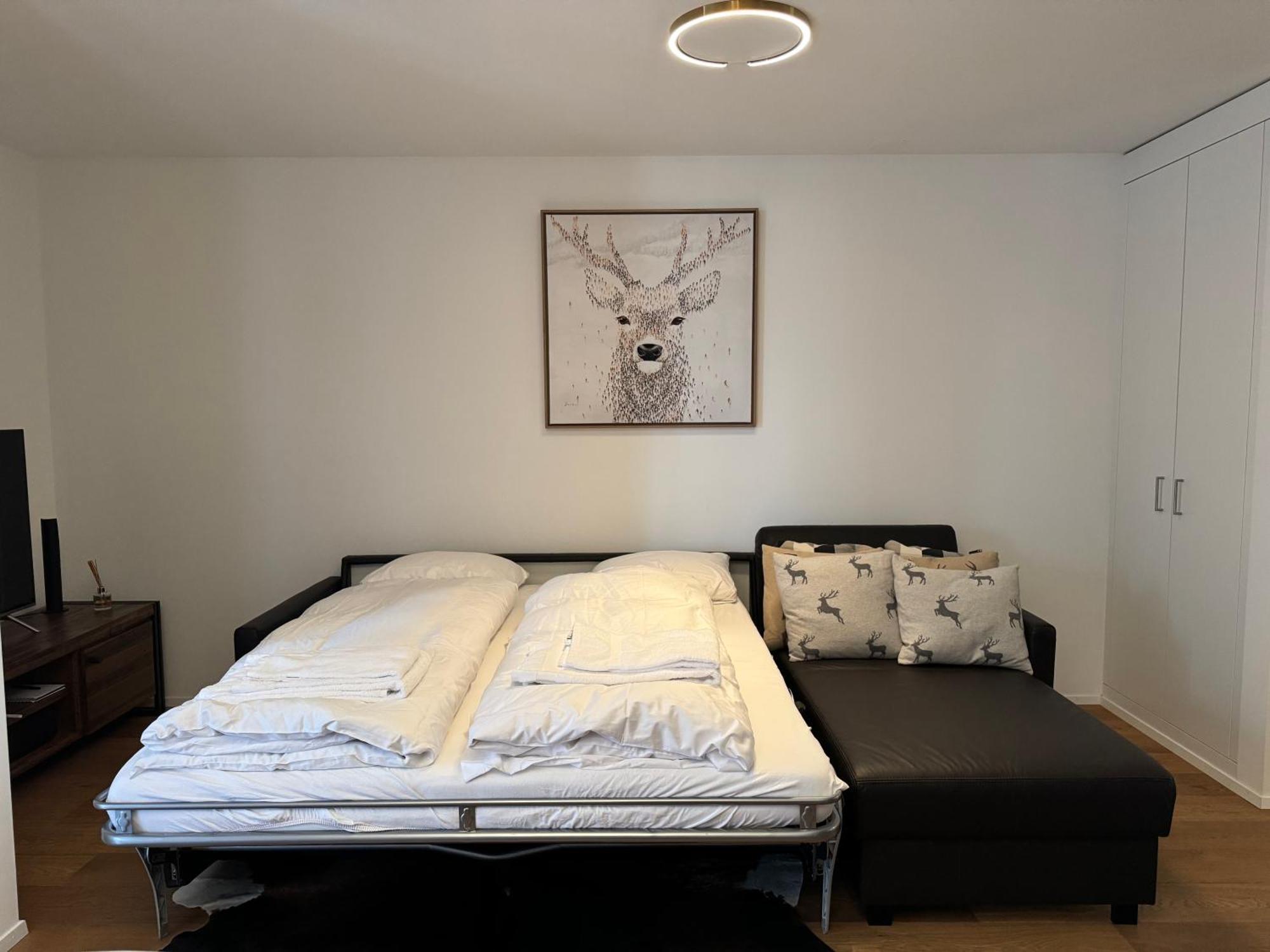 Beautiful Sunny New 1 Bed Apt Flims Exterior foto